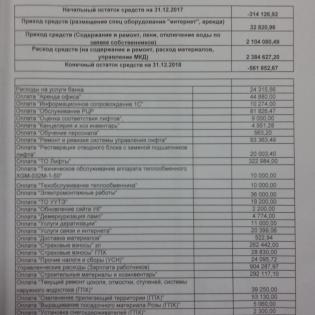 ежегодный отчет за 2018г